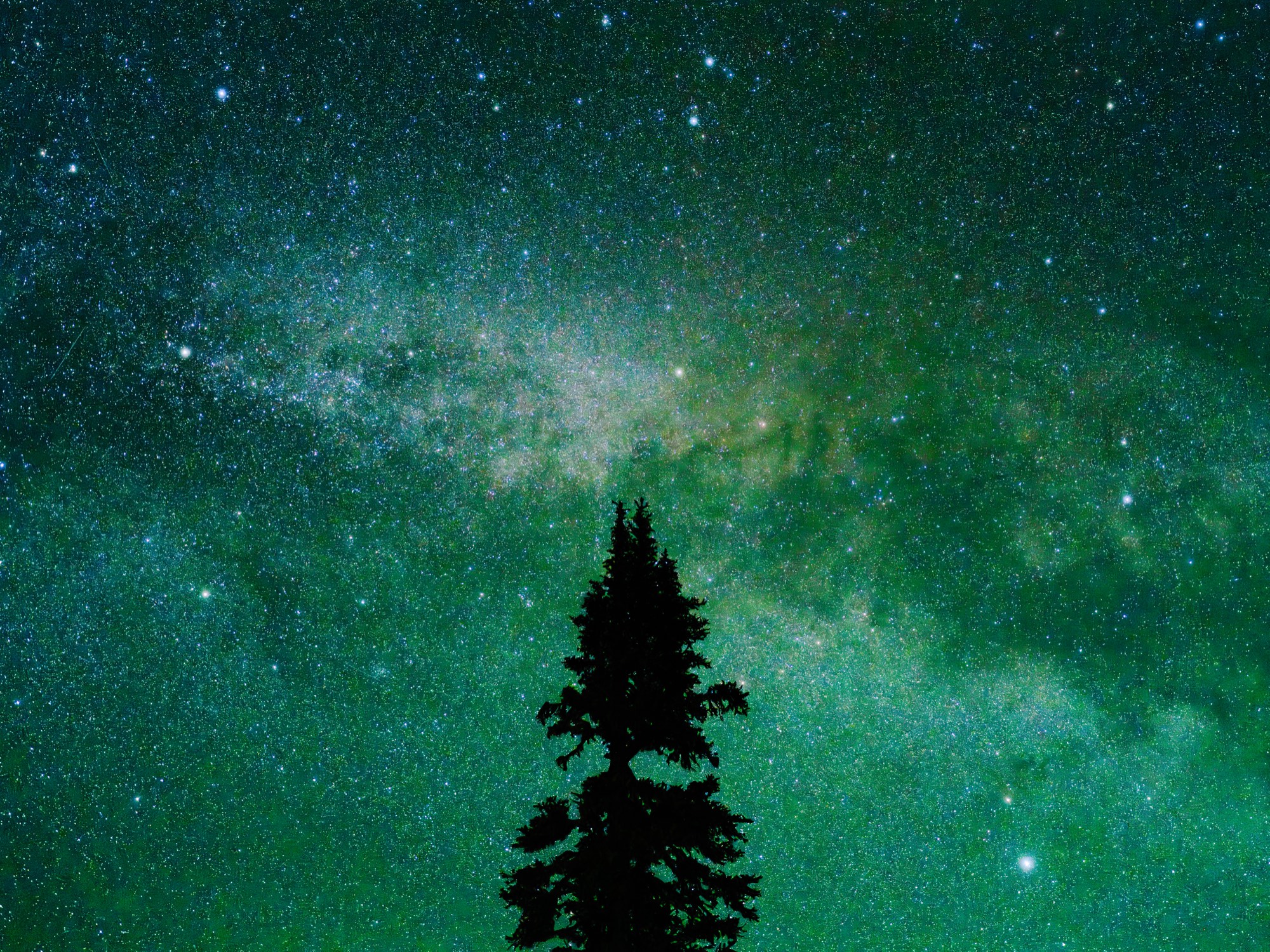 The Still Sky