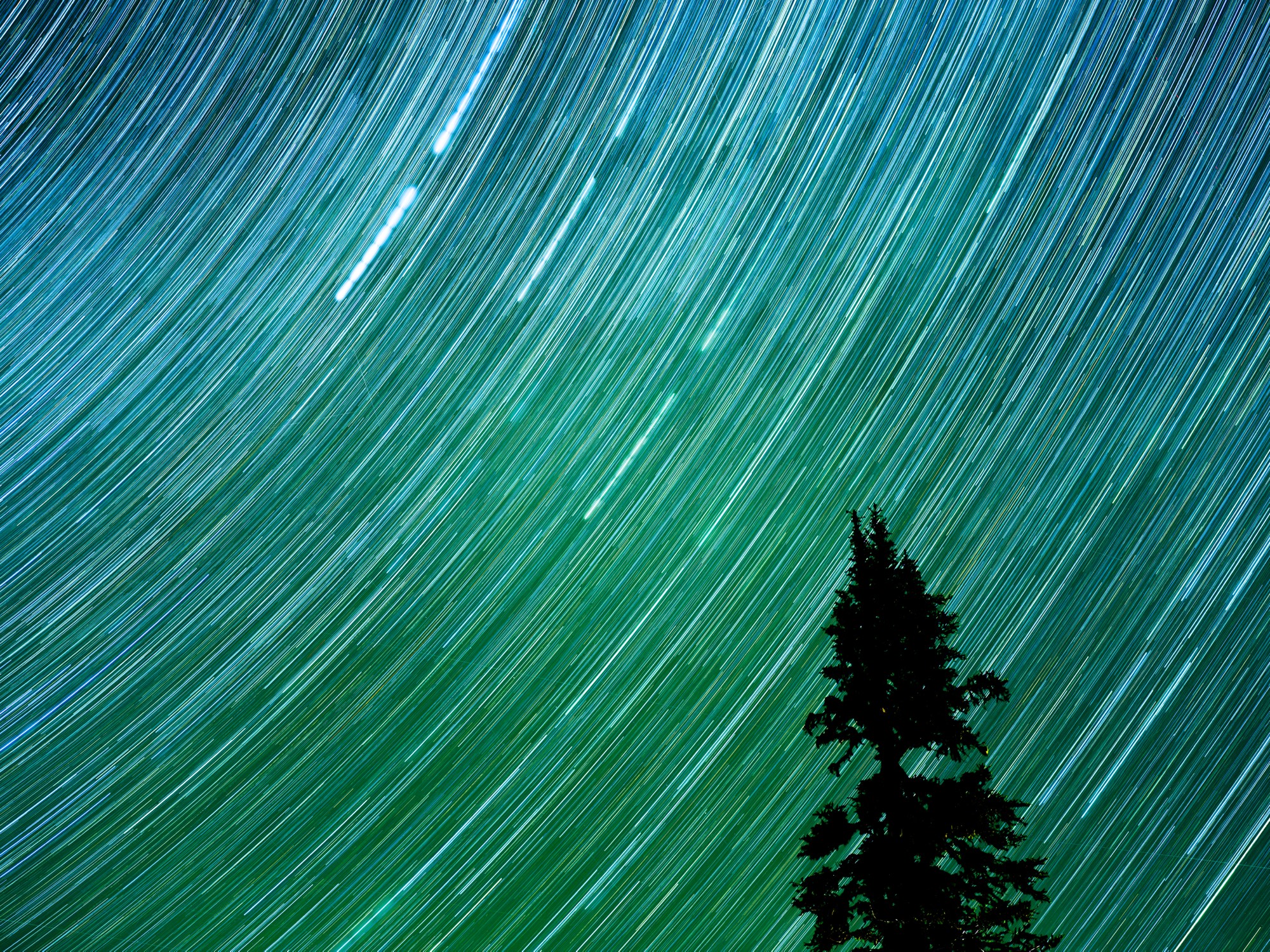The Turning Sky