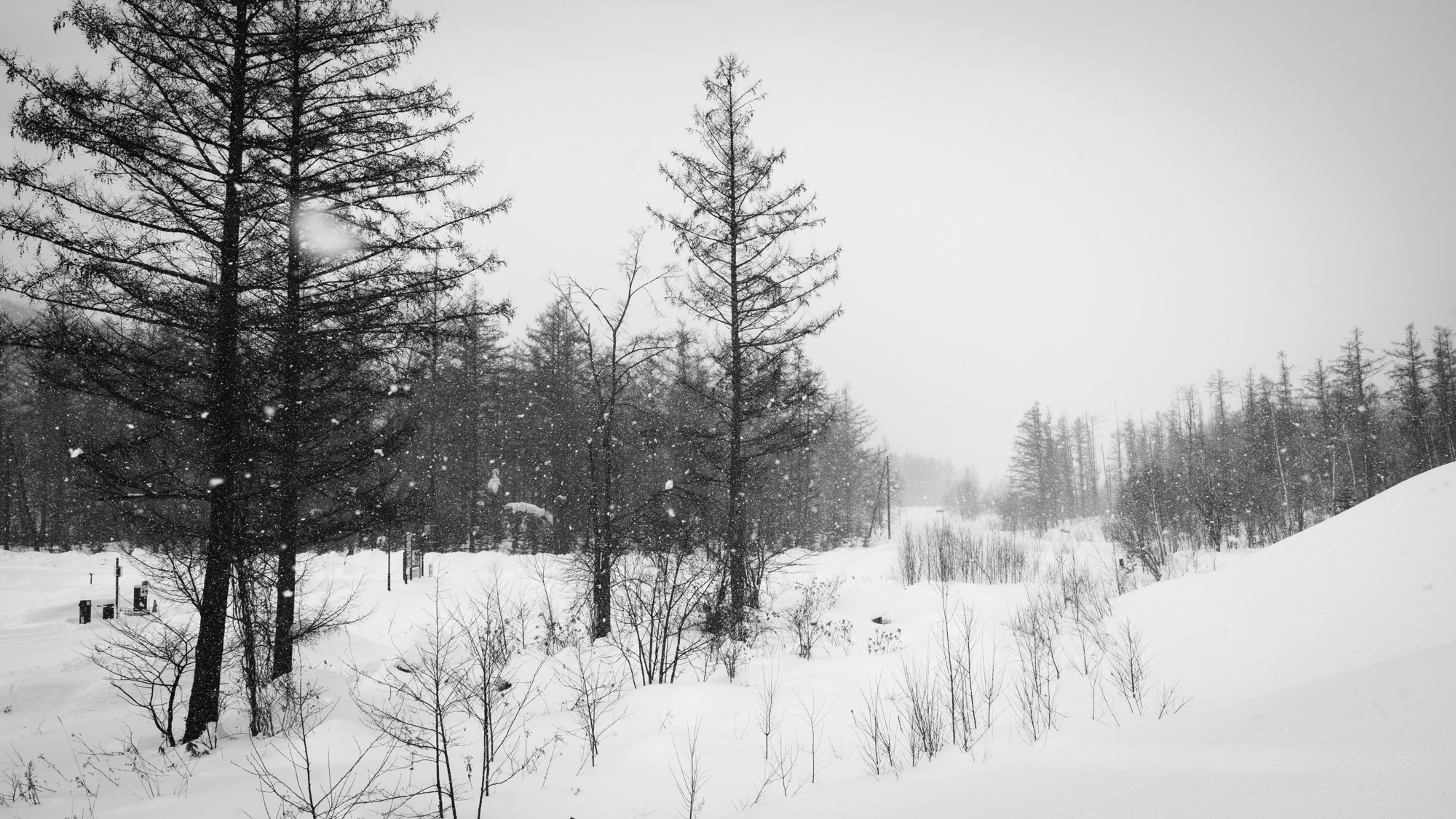 Snowfall