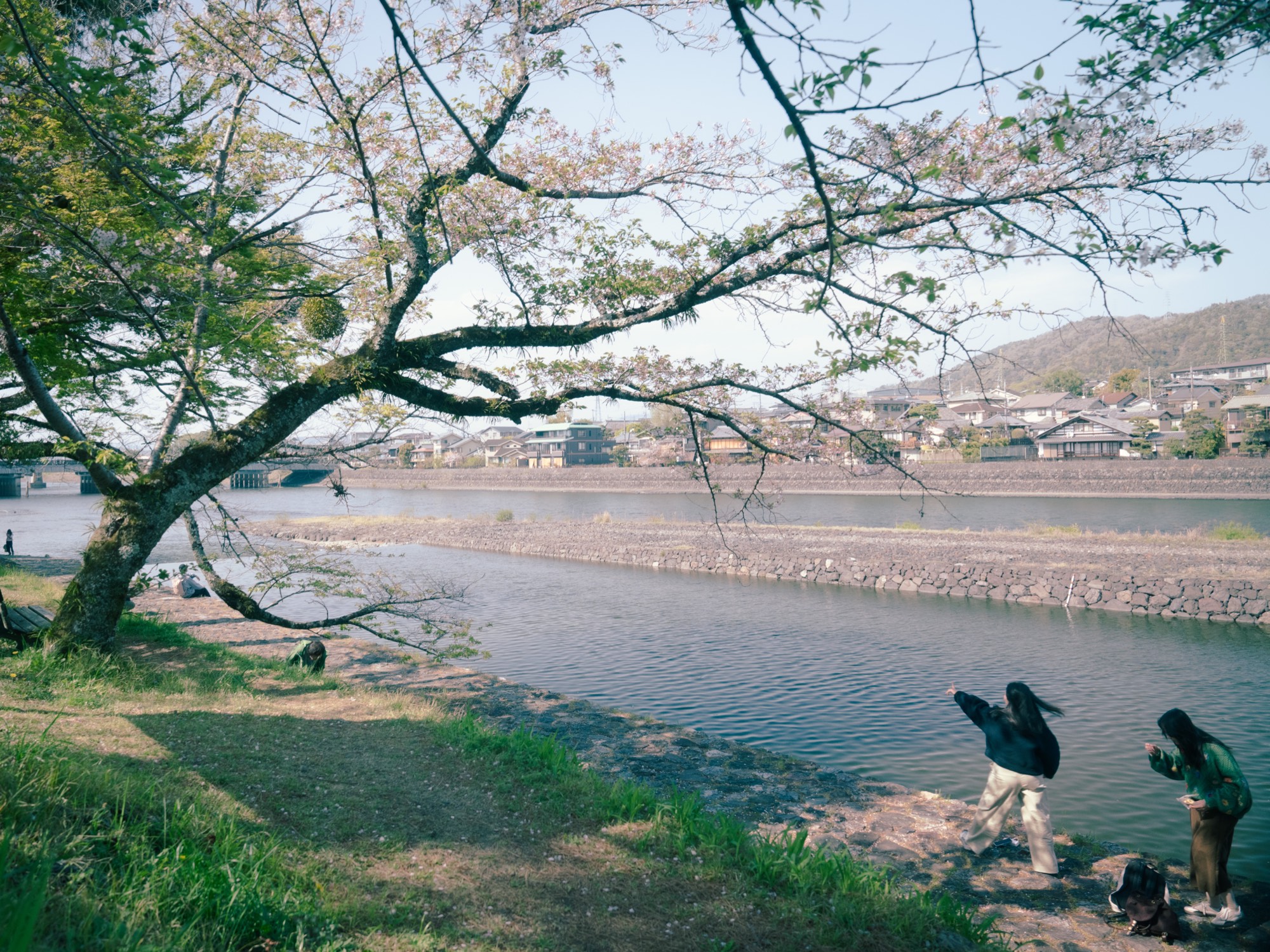 Far Bank