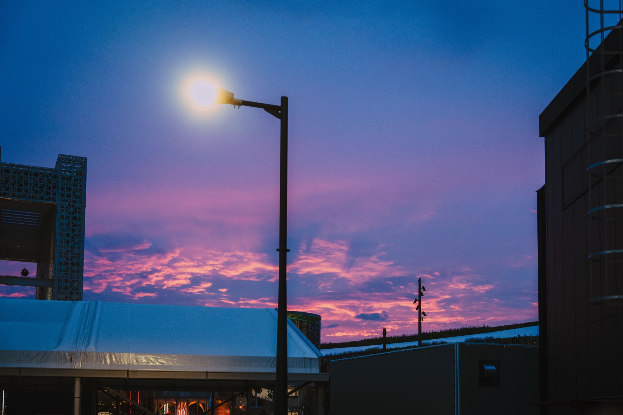 Lamplight