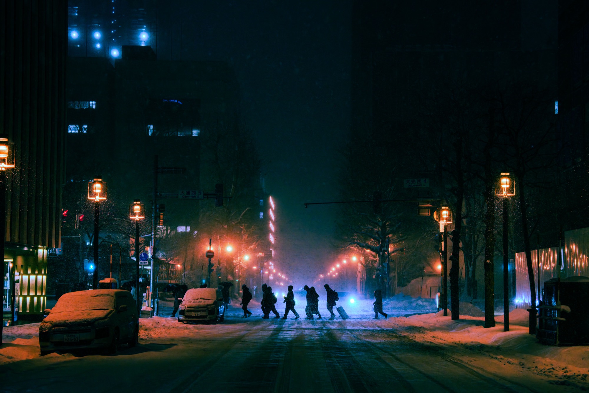 Snow Crossing