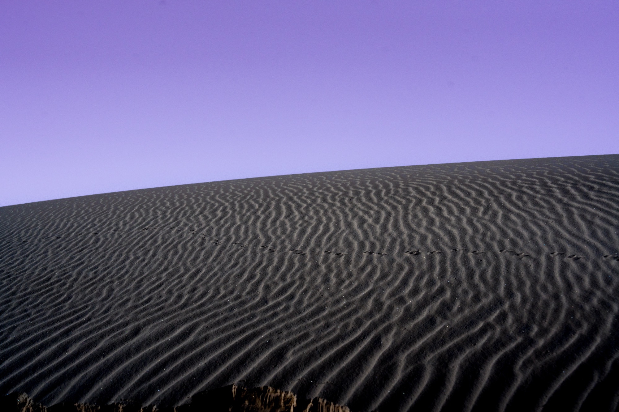Violet Hour