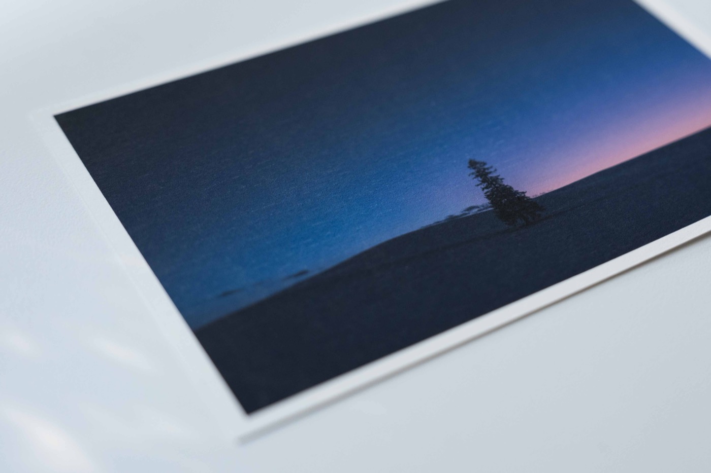 A sample art postcard — acid-free archival matte print, 4 × 6 in