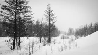 Snowfall