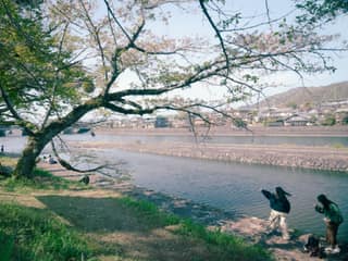 Far Bank
