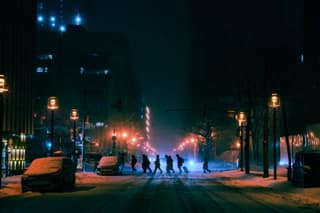 Snow Crossing