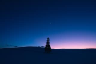 Evening Star