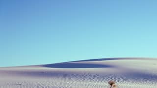 White Sands